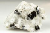 Gemmy Cassiterite Crystal Cluster - Viloco Mine, Bolivia #192171-1